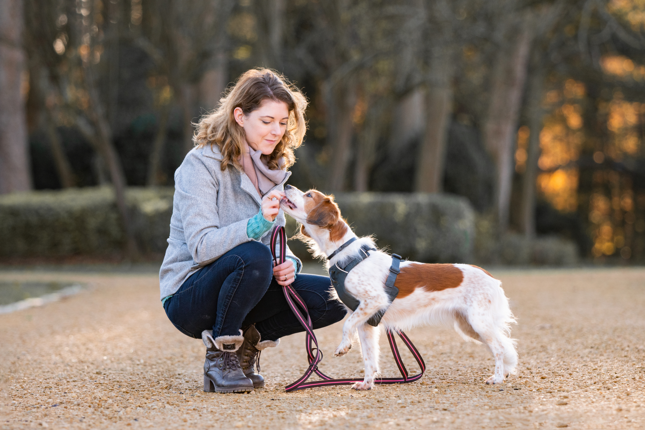 VIP programma Paws In Touch