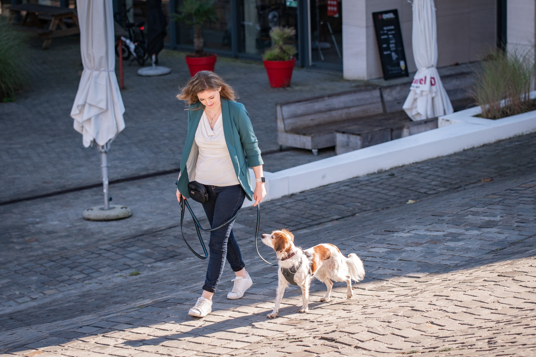 Ontspannen wandelen met je hond - Leer hier hoe