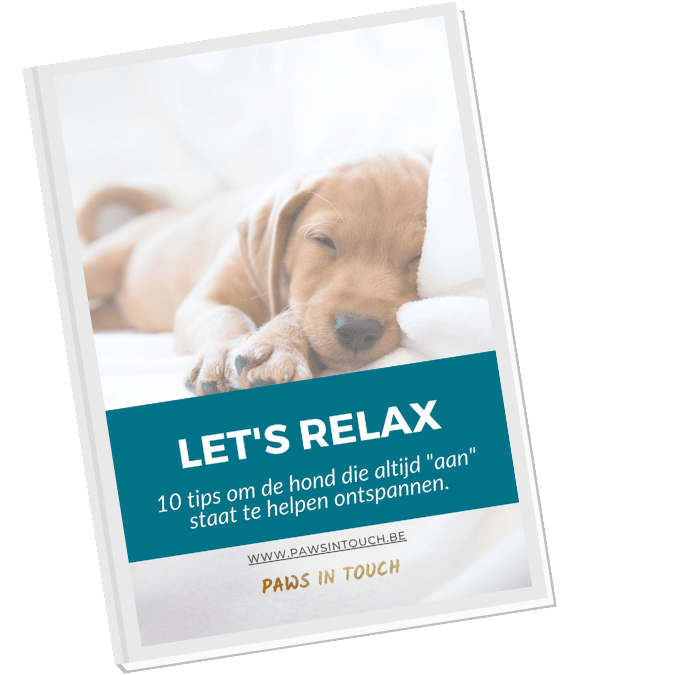 Mini-gids Let's Relax Paws in Touch