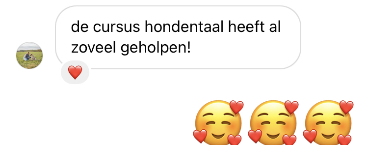 Review Kickstart je hondentaal