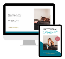 Kattentaal