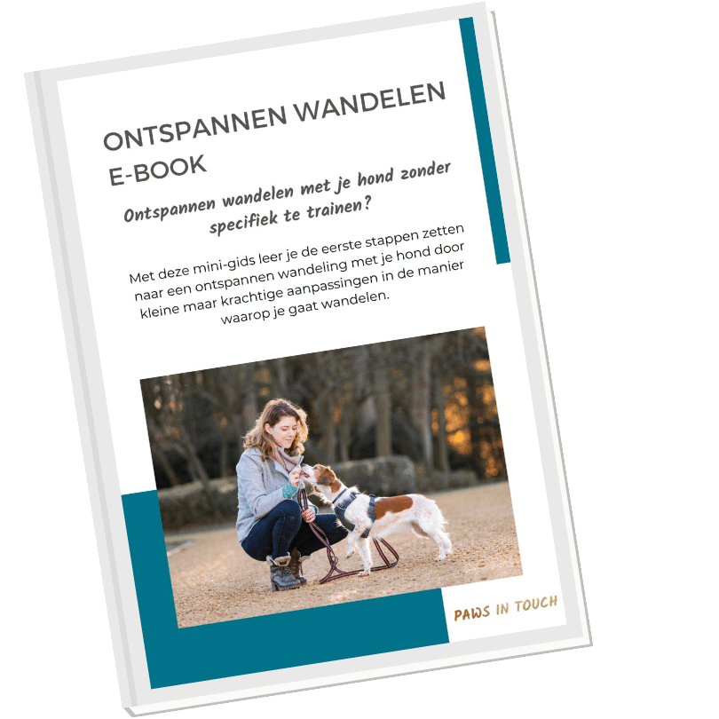 Ontspannen wandelen met je hond zonder te trainen? Ontdek het in dit e-book