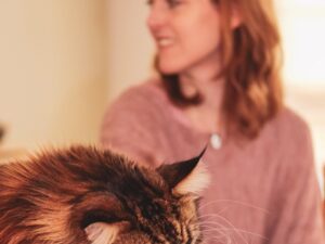 In 6 essentiële stappen naar een zelfzekere, ontspannen en gelukkige kat!